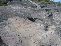 Rock carvings