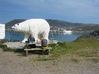 Breakfast by the bear