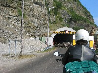 Reindeer in tunnels