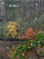 Indian Summer at Bear Mountain