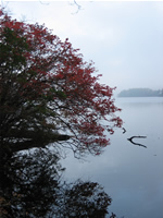 Indian Summer at Bear Mountain