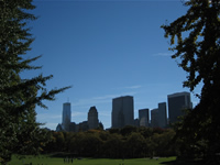 Sheep Meadow in Central Park