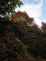 Indian Summer at Fort Tryon/The Cloisters