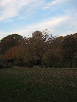 Indian Summer on Bear Mountain