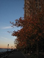 The Esplanade @ Battery Park