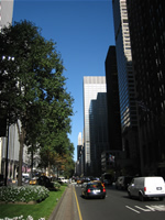 Park Avenue