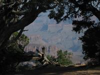 View over the Canyon from Grandview Point