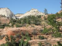 White meets red at Zion