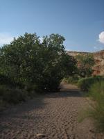 Little Wild Horse Canyon, UT