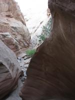 Little Wild Horse Canyon, UT