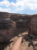 Shafer trail