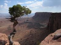 Canyonlands, UT