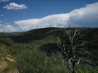 Mesa Verde National Park