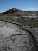 Bizarre, beautiful and colorful Bisti