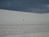 White Sands National Monument