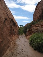 Broken Bow Arch