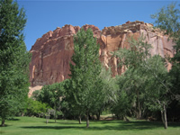 Fruita Oasis