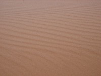 Coral Pink Sand Dunes
