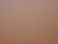 Coral Pink Sand Dunes