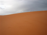 Coral Pink Sand Dunes