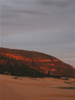 Coral Pink Sand Dunes