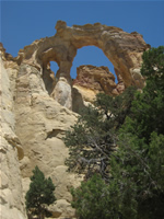 Grosvenor Arch