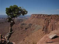 Grand View Point: Reprise