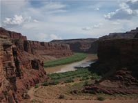 Colorado Goosenecks along Potash Road