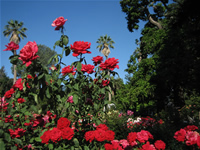 Capitol Park in Sacramento